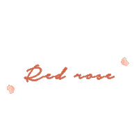 Beauty Makeup Sticker by Posh The Label