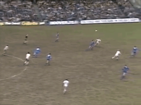 GIF by West Ham United