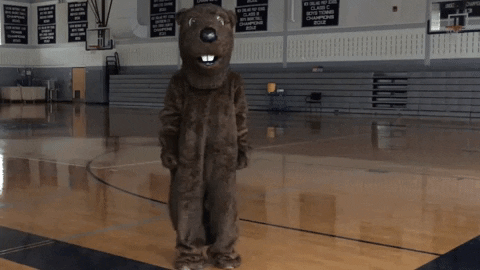 GIF by Welcome to the BVR Dam