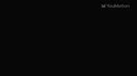 Animated Weird Plants Animations