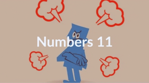 DonTaylor10000 giphygifmaker ku GIF