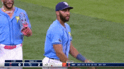 Tampa Bay Rays Hug GIF by MLB