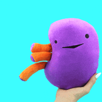 Feel Better Get Well Soon GIF by I Heart Guts