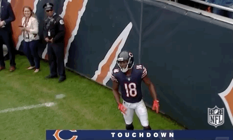 2018 Nfl Football GIF by NFL