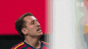 Vamos World Cup GIF by DAZN