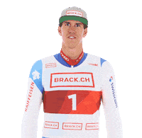 Swissski Naja Sticker by BRACK.CH AG