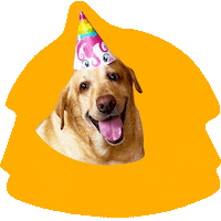 Happy Dog Party Sticker by Awesome Pawsome Treats