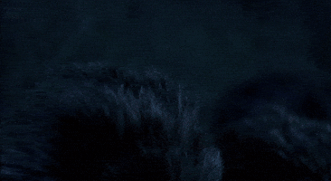 critters GIF by hero0fwar