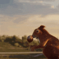 squirrel falling GIF by EnBW