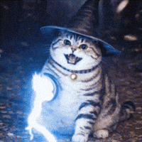 OrbitPaws cat meme hello hi GIF