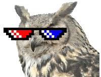 University Owl Sticker by Háskóli Íslands