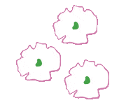 Pitusaflagship Sticker by Pitusa