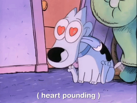 Rockos Modern Life Nicksplat GIF by NickRewind