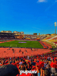 Morocco Punisher GIF