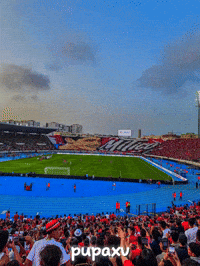Morocco Bono GIF