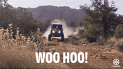 Happy Fun GIF by KawasakiUSA