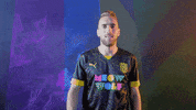 Meow Wolf Home Kit GIF by New Mexico United