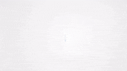 Diversification GIF