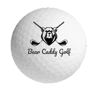 BearCaddy sports party bear phone Sticker