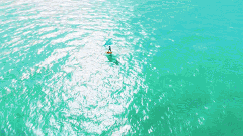 Global-Kitesports giphyupload GIF