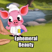 Wisdom Tranquility GIF by The Pigasso