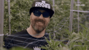 weed GIF by Bong Appétit