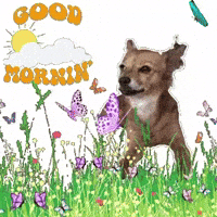 Good Morning Gm GIF by Breathing Room