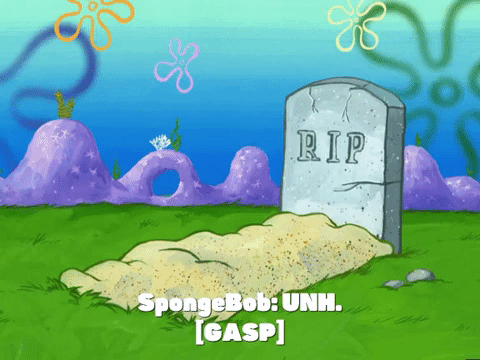 season 5 GIF by SpongeBob SquarePants