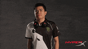 league of legends lol GIF by HyperX