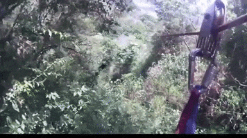 Costa Rica Sport GIF by jorgemariozuleta