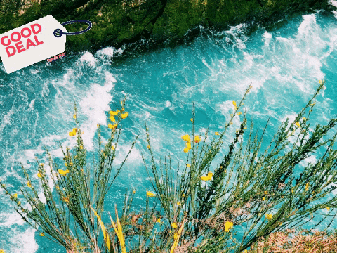 Suche Mit Imbisswagen Selbststaendig Machen GIF by FranchiseONE.de