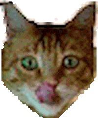 Cat Licking Sticker
