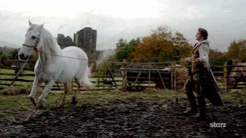 Season 1 Horse GIF by Outlander