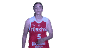 Basketball Turkey Sticker by Türkiye Basketbol Federasyonu