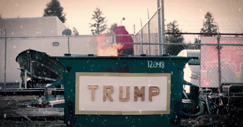 GIF by Abortion Access Front