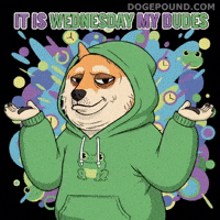 Dog Idk GIF by Doge Pound