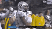 2019 Nfl Football GIF by NFL