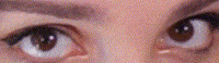 Perrikaryal twitch eyes flirt perrikaryal GIF