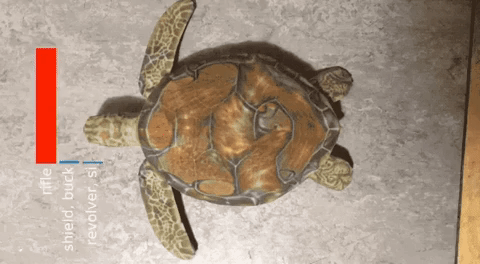 turtle google ai GIF