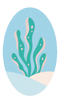 Beach Ocean Sticker by Larios Centro