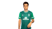 Point Sticker by SV Werder Bremen