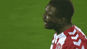 AaBaf1885 aab 1885 aalborgbk helenordjyllandshold GIF