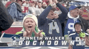 Seattle Seahawks Football GIF by NFL