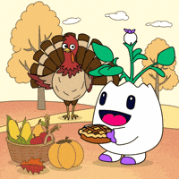 Thanksgiving Day Friends GIF by Magic Eden