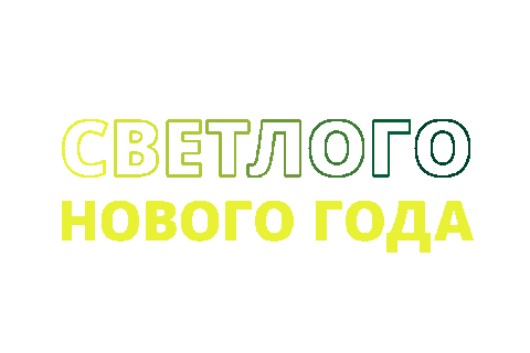 New Year Новый Год Sticker by fondsvet
