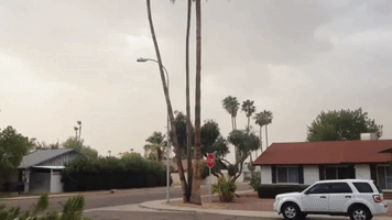 Dust Storm Hits Tempe Ahead of Downpours