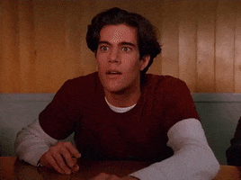 Season 1 Omg GIF by Twin Peaks on Showtime