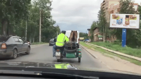 bear motorcycle GIF by agconti