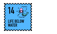 United Nations Sustainability Sticker by clever carbon