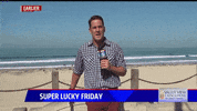 bug news reporter GIF